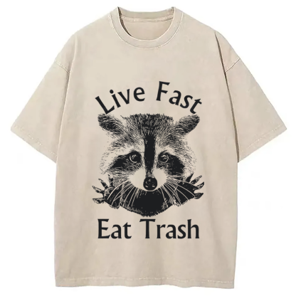 Tokyocanvas Trash Panda Raccoon Washed T-Shirt