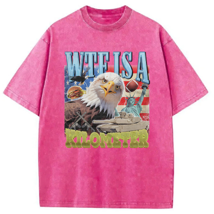 Tokyocanvas Funny Eagle Meme Washed T-Shirt