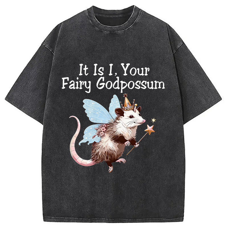 Tokyocanvas It Is I Your Fairy Godpossum Washed T-Shirt