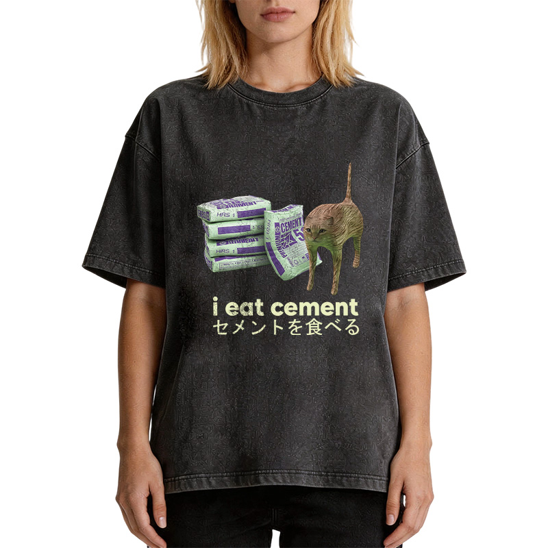 Tokyocanvas Funny Internet Cement Cat Washed T-Shirt