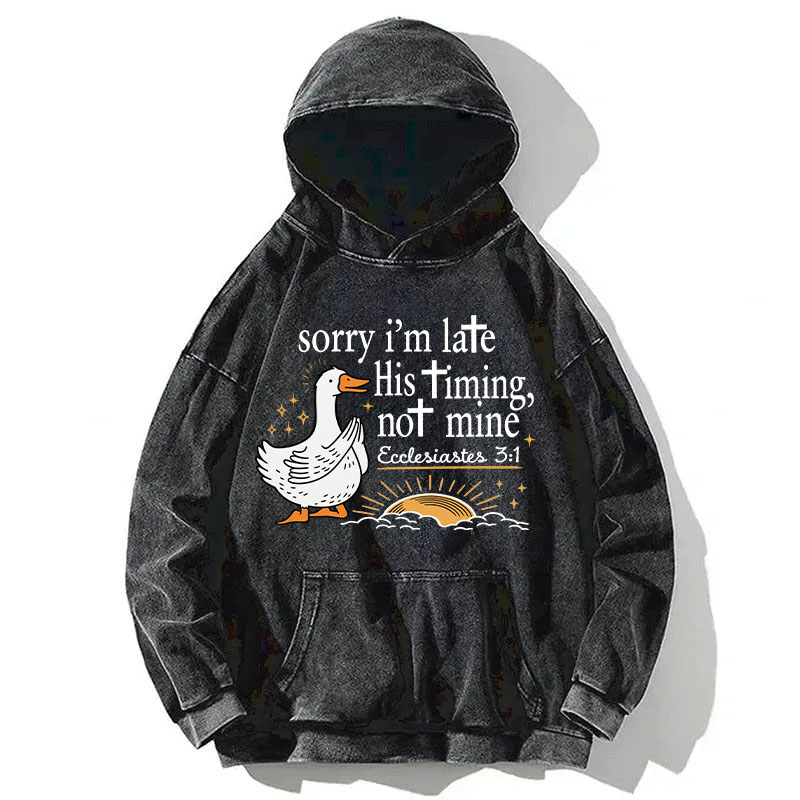 Tokyocanvas His Timing Not Mine Goose Washed Hoodie