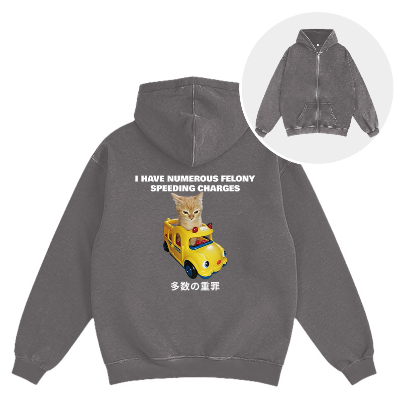 Tokyocanvas I Have Numerous Felonies For Speeding Washed Zip Hoodie