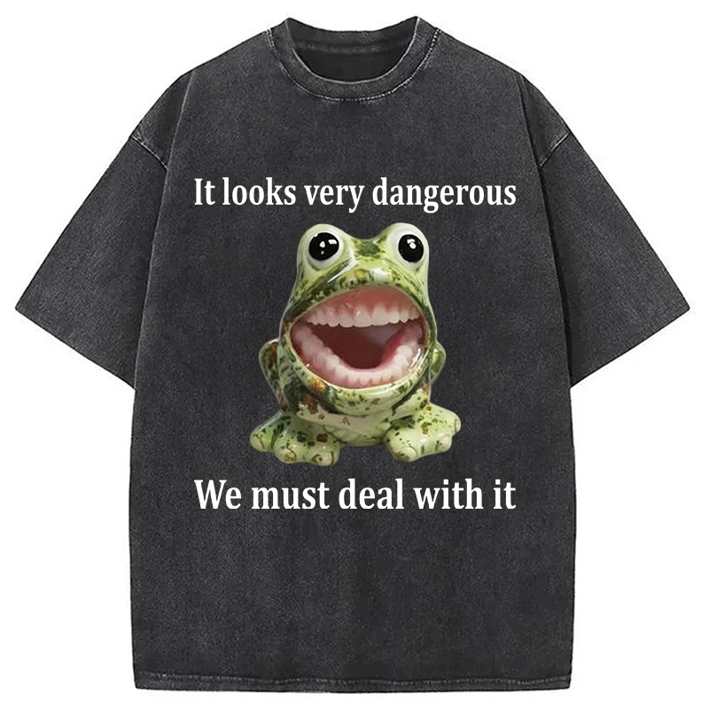 Tokyocanvas It Looks Very Dangerous Frog Washed T-Shirt