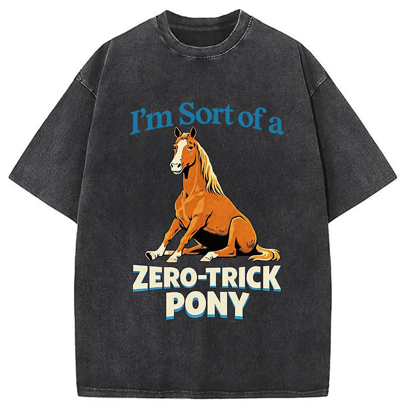 Tokyocanvas Zero Trick Pony Washed T-Shirt