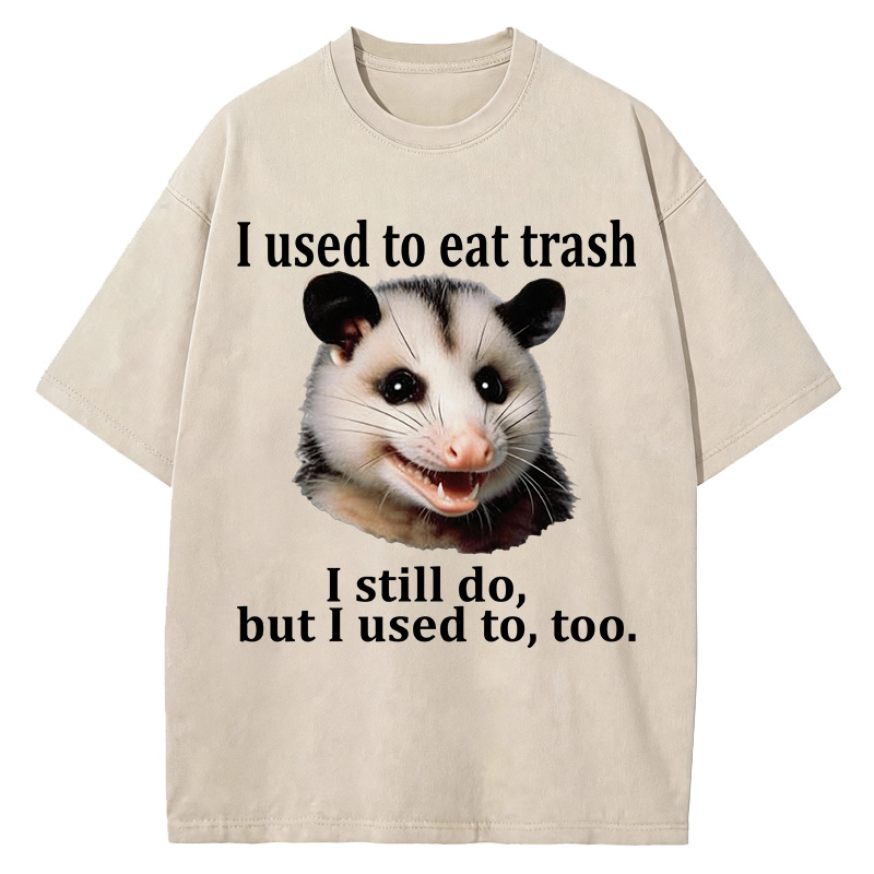 Tokyocanvas Possum Washed T-Shirt