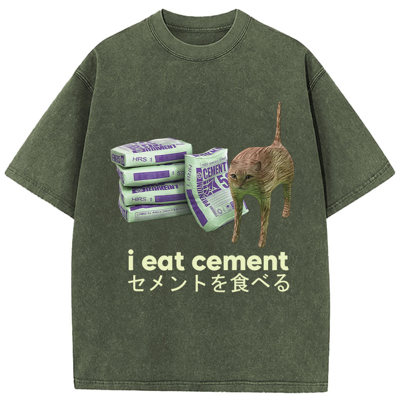 Tokyocanvas Funny Internet Cement Cat Washed T-Shirt