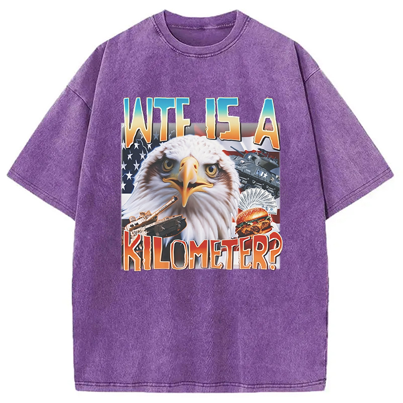 Tokyocanvas Funny America Freedom Eagle Meme Washed T-Shirt