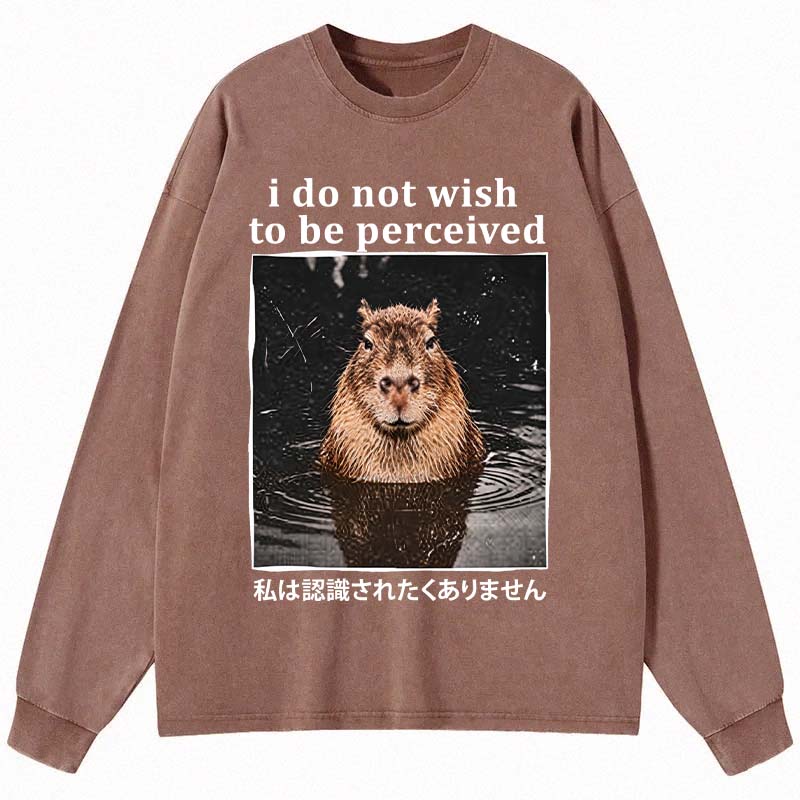 Tokyocanvas I Do Not Wish to Be Perceived Capybara Long Sleeve Washed T-Shirt