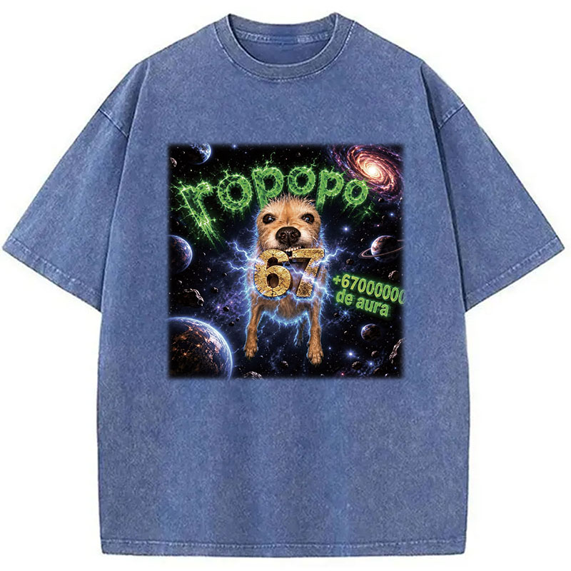 Tokyocanvas Ropopo Aura Dog Washed T-Shirt