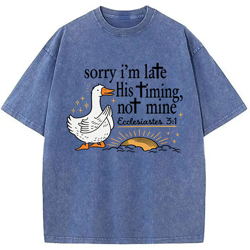 Tokyocanvas His Timing Not Mine Goose Washed T-Shirt
