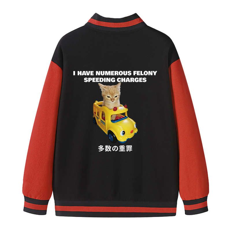 Tokyocanvas I Have Numerous Felonies For Speeding Varsity Jacket