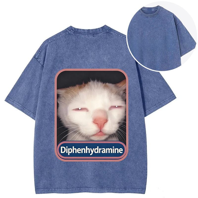 Tokyocanvas Funny Cat Meme Back Washed T-Shirt