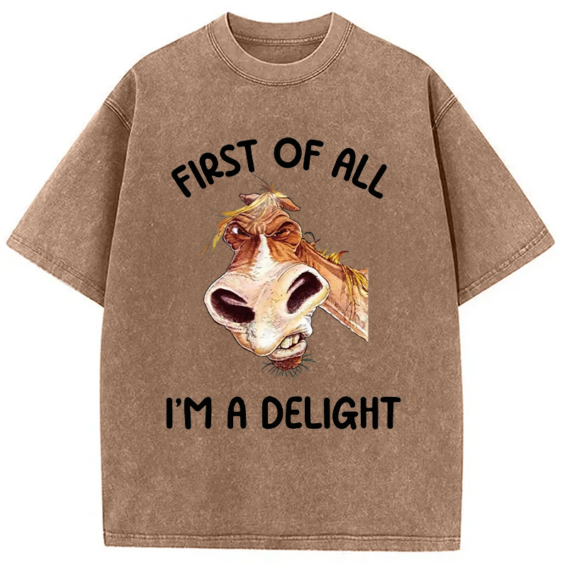 Tokyocanvas First of All I'm a Delight Horse Washed T-Shirt