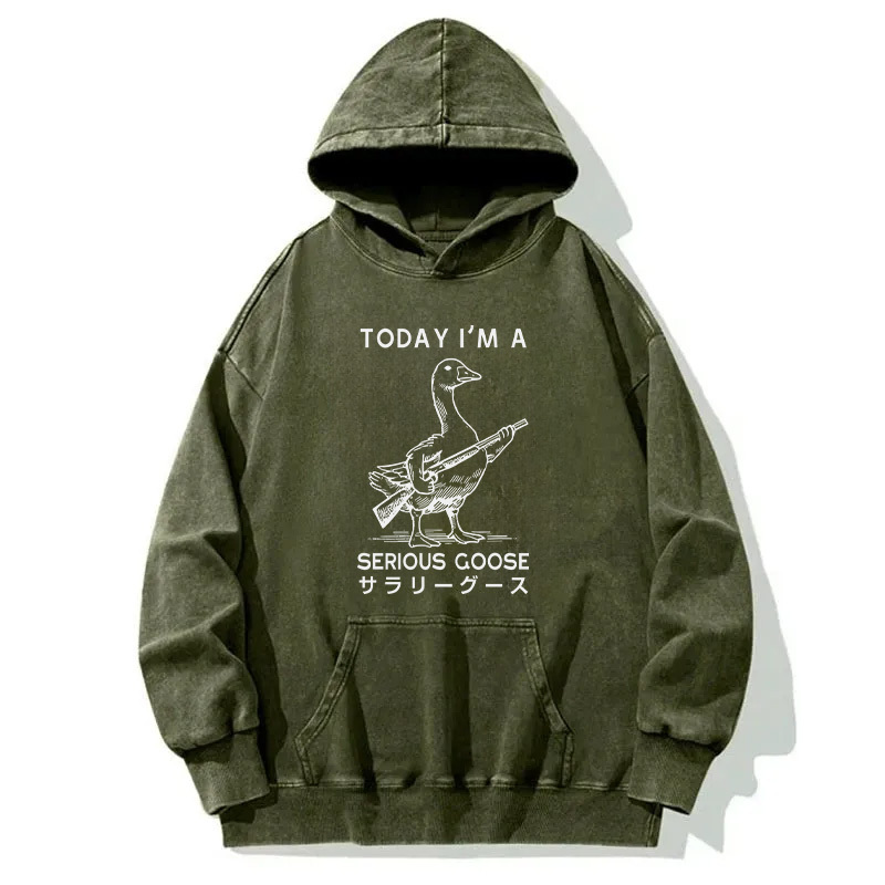 Tokyocanvas Serious Stupid Goose Washed Hoodie