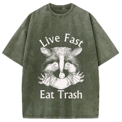 Tokyocanvas Trash Panda Raccoon Washed T-Shirt