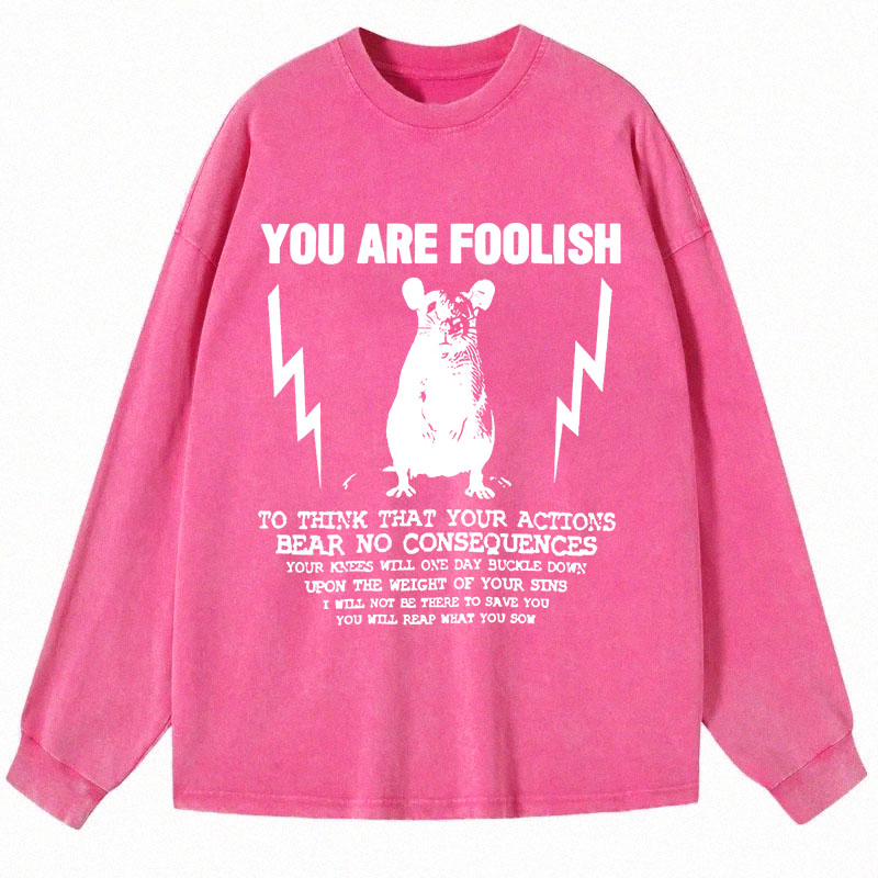Tokyocanvas You Are Foolish Rat Meme Long Sleeve Washed T-Shirt