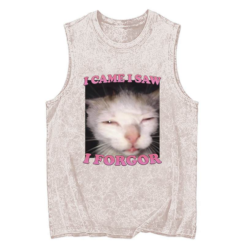 Tokyocanvas I Forgor Funny Cat Meme Washed Tank