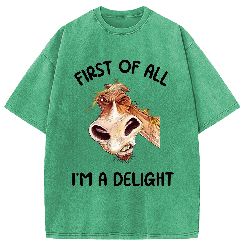 Tokyocanvas First of All I'm a Delight Horse Washed T-Shirt