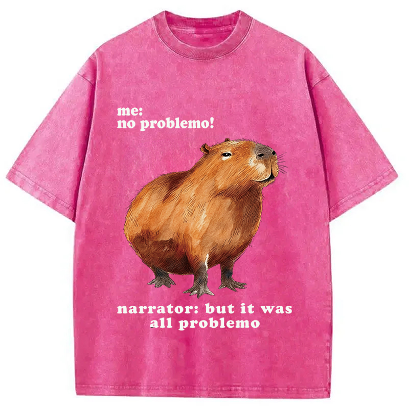 Tokyocanvas All Problemo, No Panic Washed T-Shirt