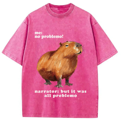 Tokyocanvas All Problemo, No Panic Washed T-Shirt