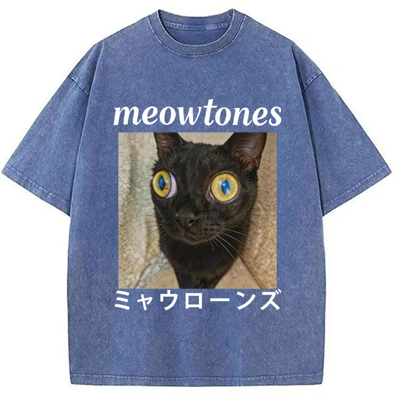 Tokyocanvas Meowlones Washed T-Shirt