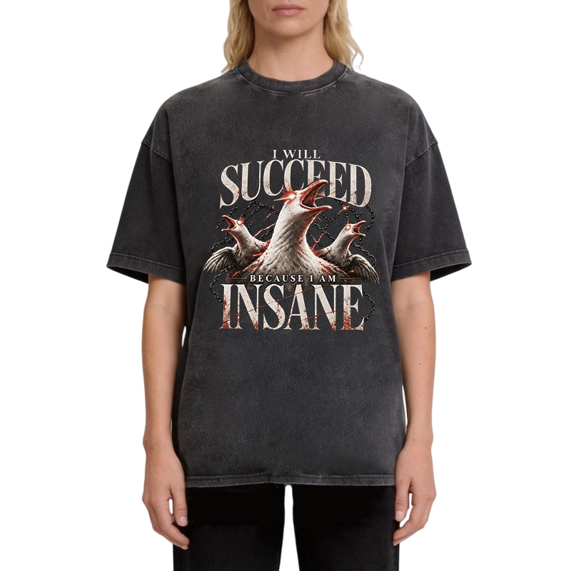 Tokyocanvas I Will Succeed Because I Am Insane Washed T-Shirt