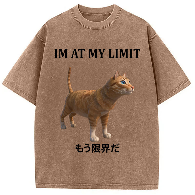 Tokyocanvas Poly Cat At My Limit Washed T-Shirt