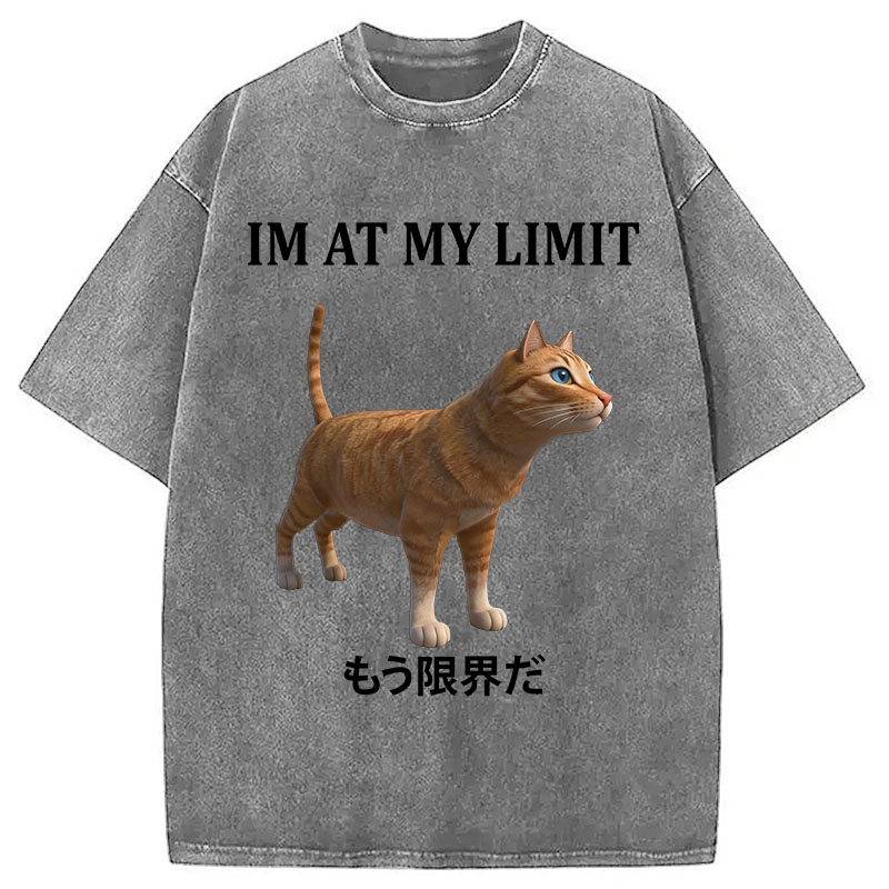 Tokyocanvas Poly Cat At My Limit Washed T-Shirt