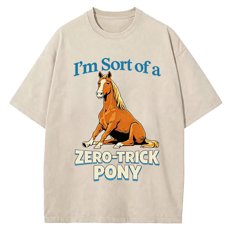 Tokyocanvas Zero Trick Pony Washed T-Shirt