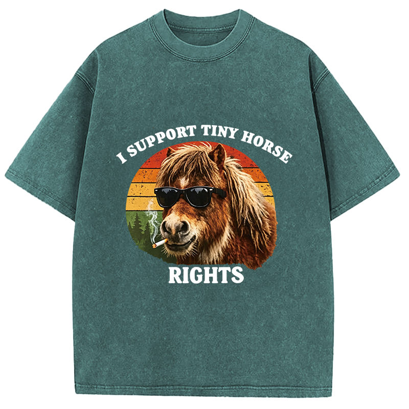 Tokyocanvas Frog Wizard Riding A Horse Washed T-Shirt