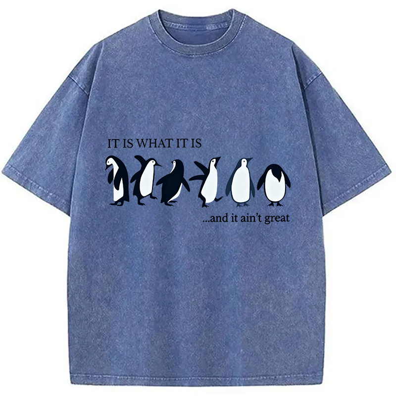 Tokyocanvas Funny Penguin Washed T-Shirt