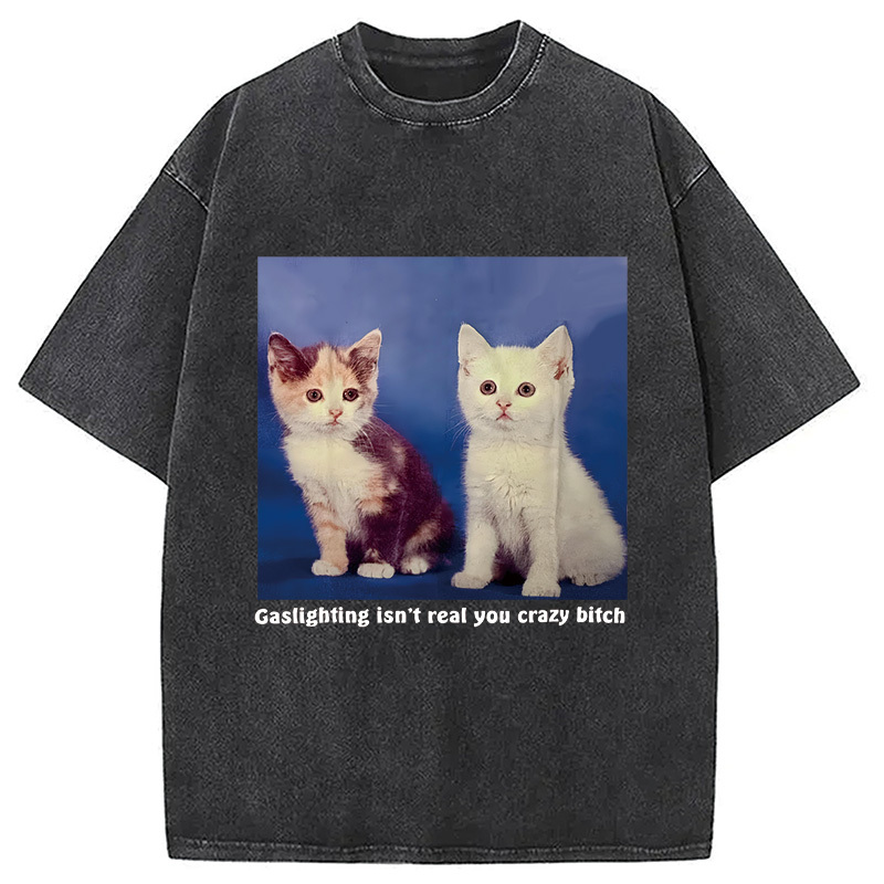 Tokyocanvas Gaslighting Isn't Real You Crazy Bit*h Washed T-Shirt