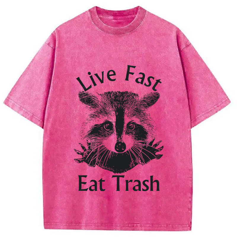 Tokyocanvas Trash Panda Raccoon Washed T-Shirt