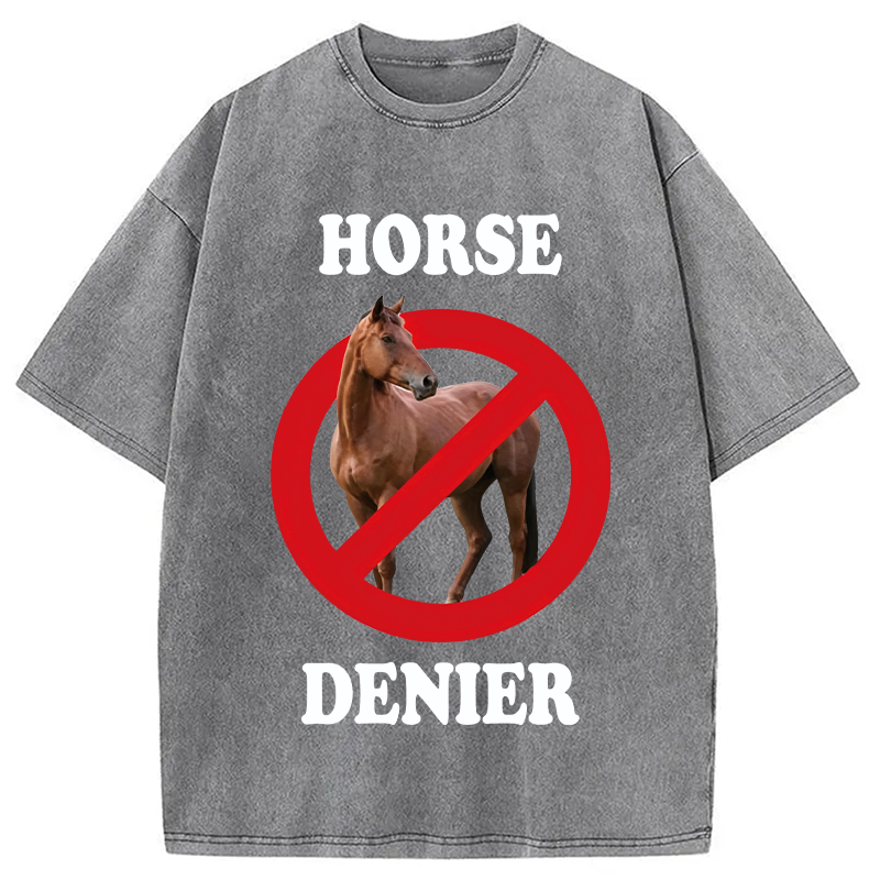 Tokyocanvas Horse Denier Meme Washed T-Shirt
