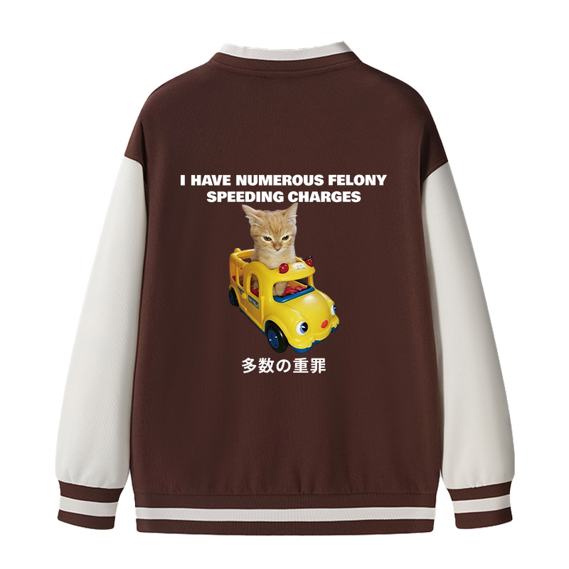 Tokyocanvas I Have Numerous Felonies For Speeding Varsity Jacket
