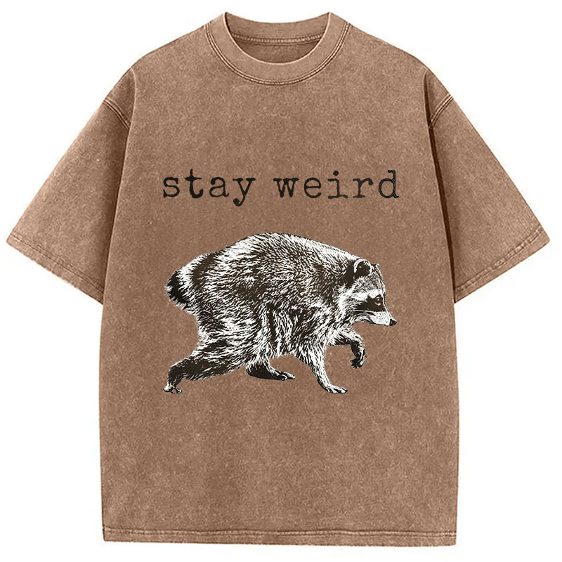 Tokyocanvas Stay Weird Funny Washed T-Shirt