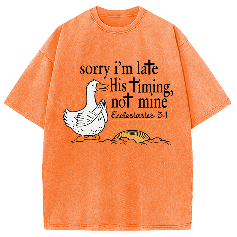 Tokyocanvas His Timing Not Mine Goose Washed T-Shirt