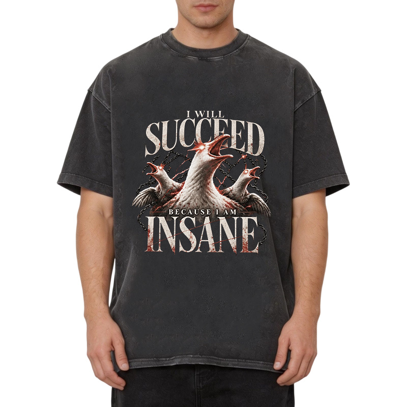 Tokyocanvas I Will Succeed Because I Am Insane Washed T-Shirt