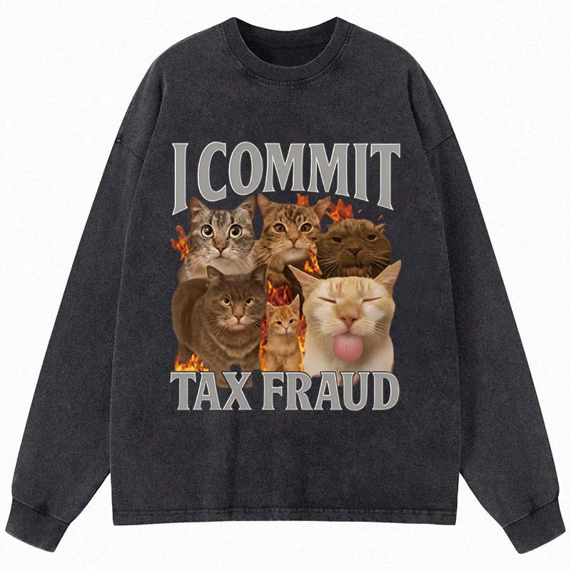 Tokyocanvas I Commit Tax Fraud Long Sleeve Washed T-Shirt