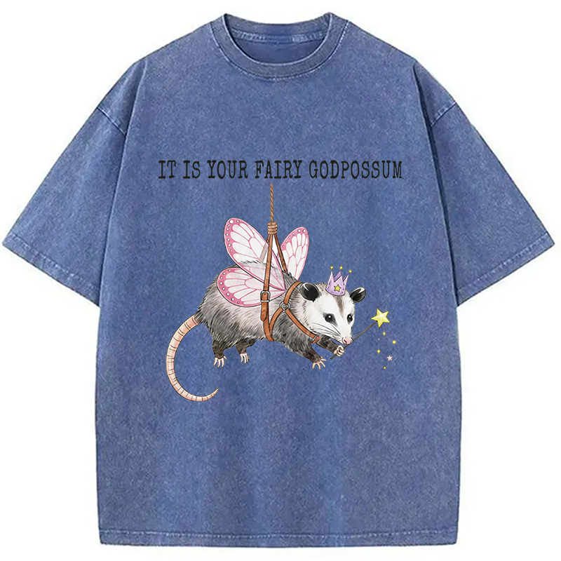 Tokyocanvas Funny Possum Meme Washed T-Shirt