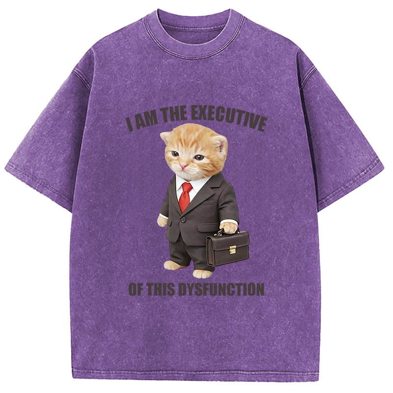 Tokyocanvas I Am The Executive Of This Dysfunction Washed T-Shirt