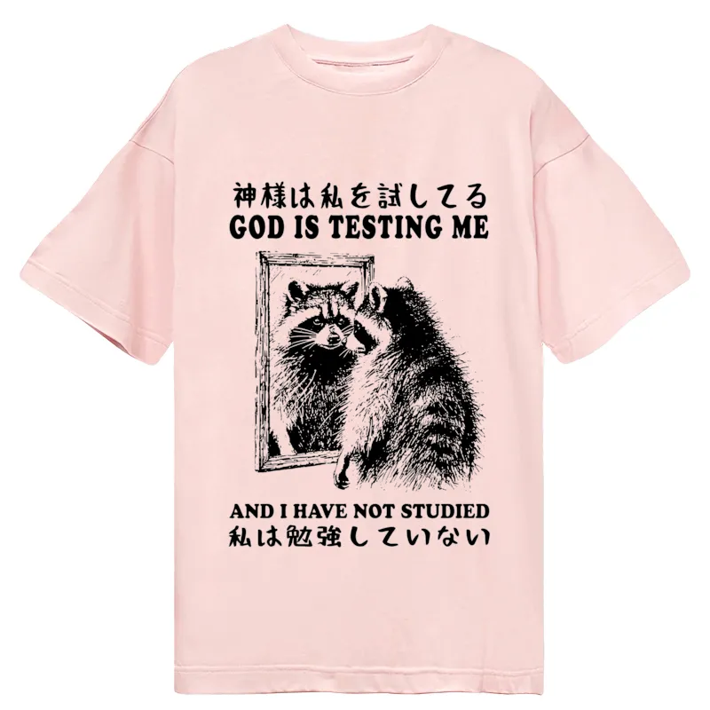 Tokyocanvas Raccoon Not Studied Classic T-Shirt