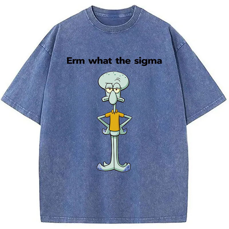 Tokyocanvas Erm What The Sigma Washed T-Shirt