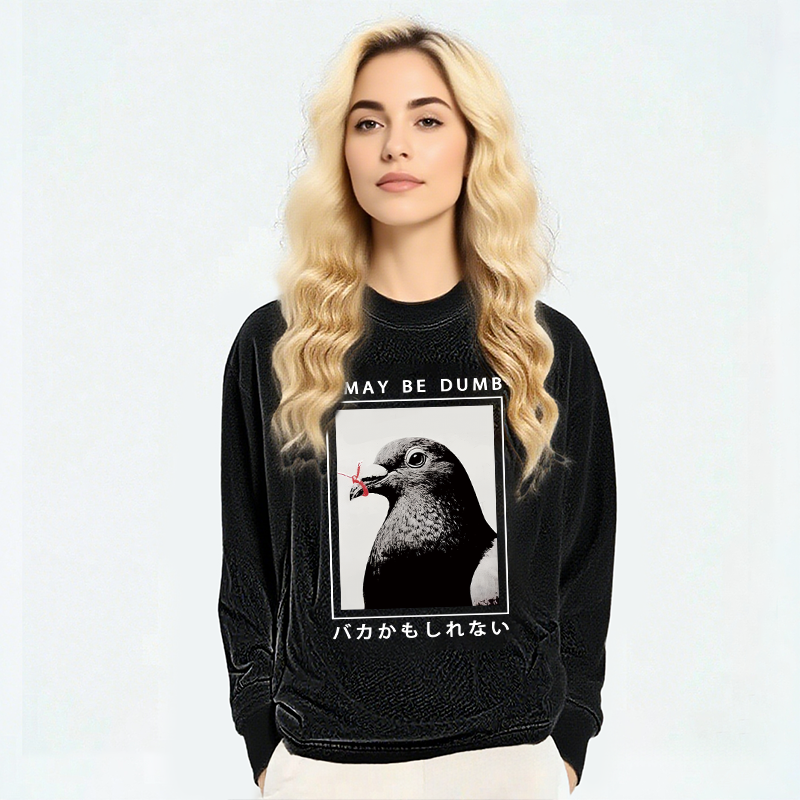 Tokyocanvas I May Be Dumb Funny Long Sleeve Washed T-Shirt