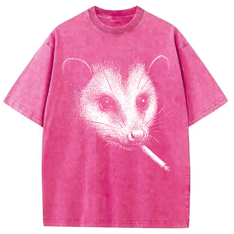 Tokyocanvas Smoking Possum Meme Washed T-Shirt