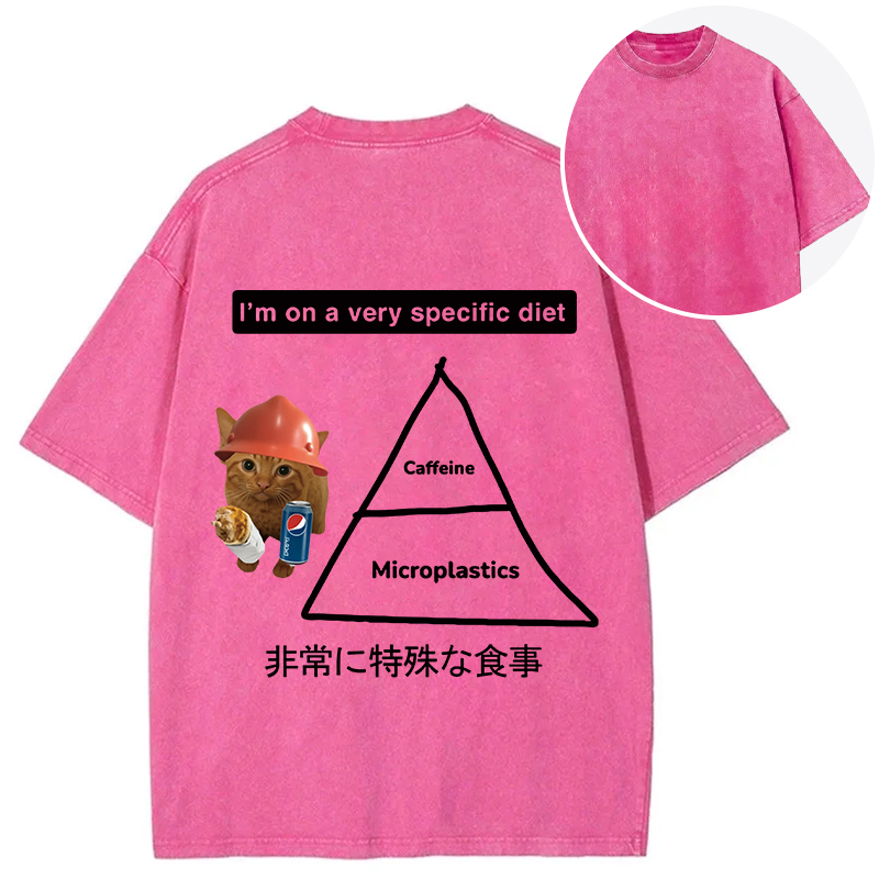 Tokyocanvas A Very Specific Diet Cat Meme Back Washed T-Shirt