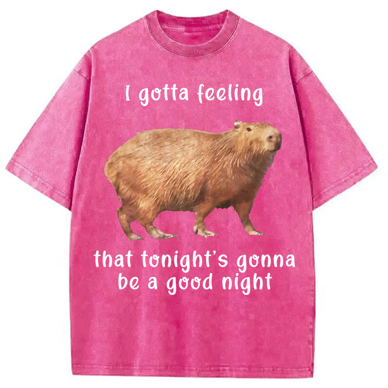 Tokyocanvas Capybara Gotta Feeling Washed T-Shirt