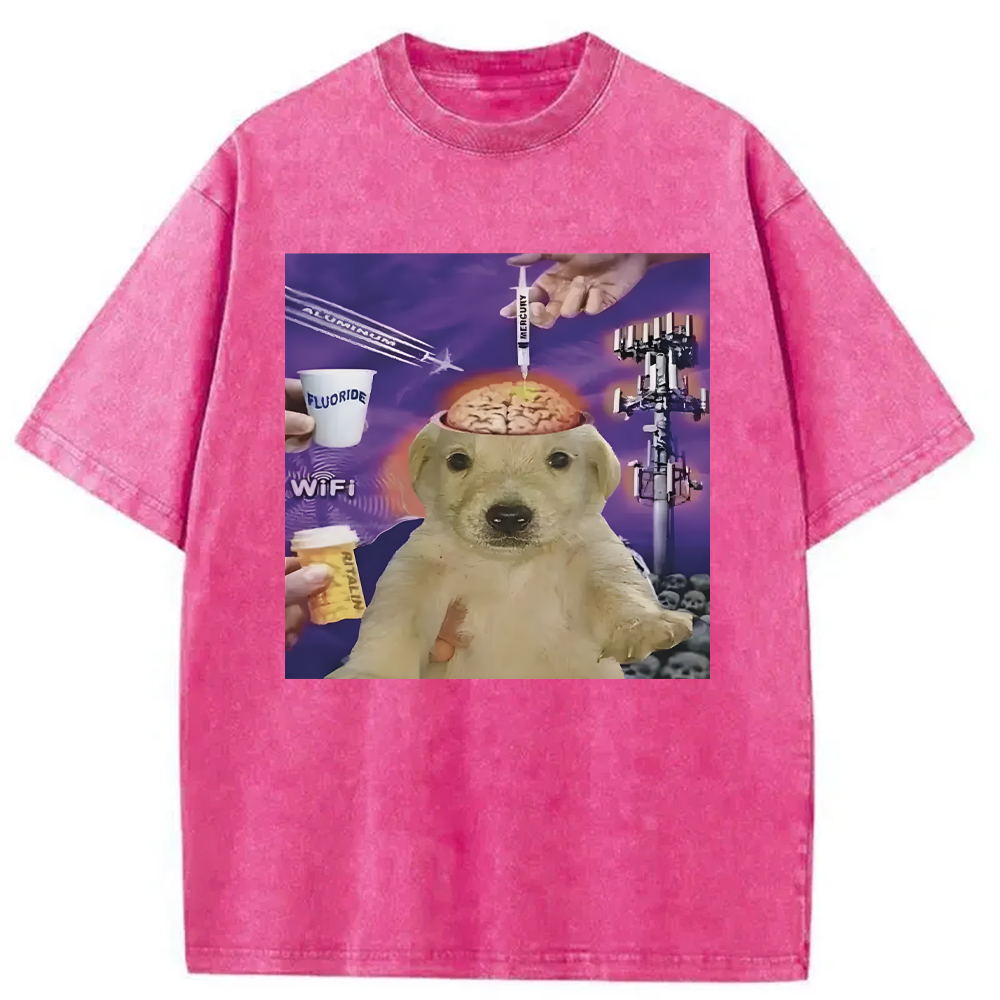 Tokyocanvas Brainwashed Jotchua Meme Washed T-Shirt