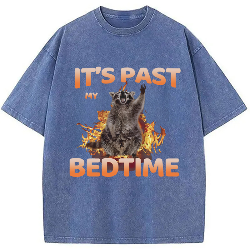 Tokyocanvas It's Past My Bedtime Washed T-Shirt