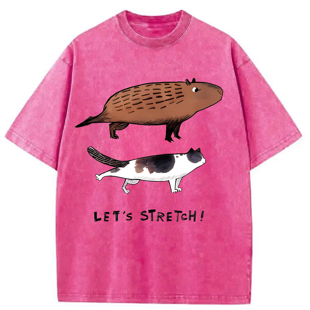 Tokyocanvas Let's Stretch Together Washed T-Shirt